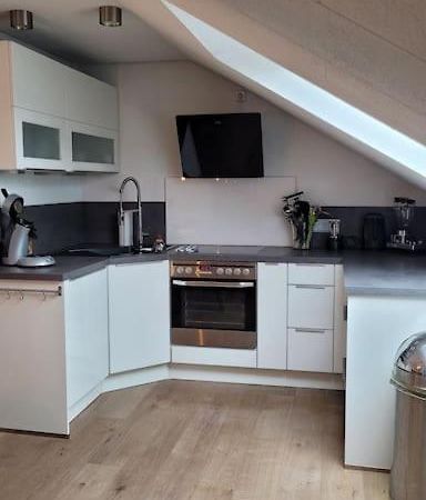 Apartment Schwarzwaldmaedel Friedenweiler Екстериор снимка