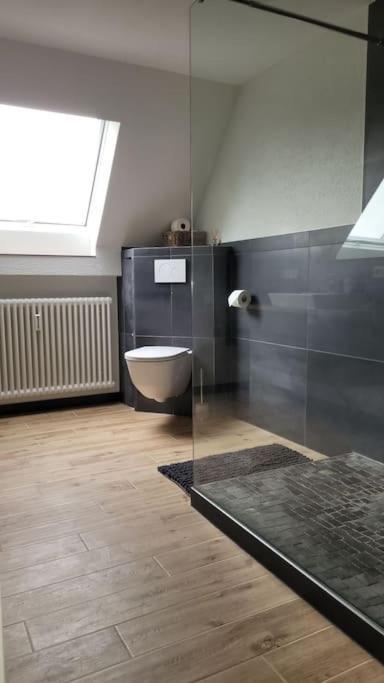 Apartment Schwarzwaldmaedel Friedenweiler Екстериор снимка