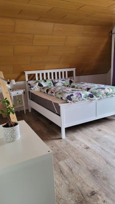 Apartment Schwarzwaldmaedel Friedenweiler Екстериор снимка