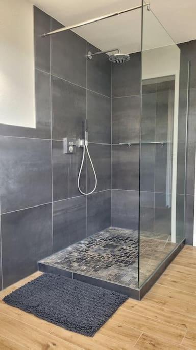 Apartment Schwarzwaldmaedel Friedenweiler Екстериор снимка