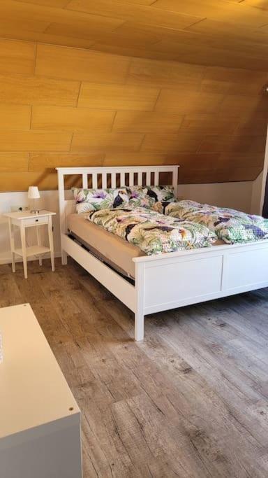 Apartment Schwarzwaldmaedel Friedenweiler Екстериор снимка