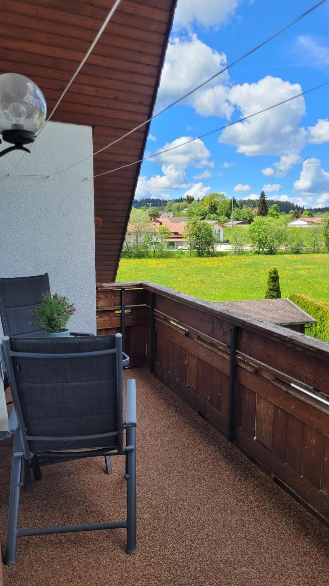 Apartment Schwarzwaldmaedel Friedenweiler Екстериор снимка